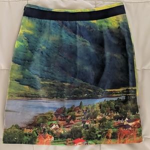 Anthropologie Meadow Rue pencil skirt